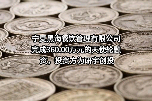 宁夏黑海餐饮管理有限公司完成360.00万元的天使轮融资，投资方为研宇创投