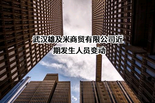 武汉雄及米商贸有限公司