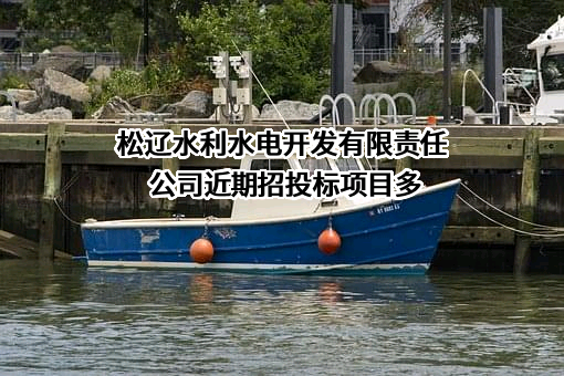 松辽水利水电开发有限责任公司