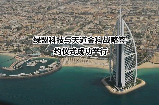 绿盟科技集团股份有限公司