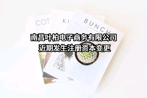 南昌叶柏电子商务有限公司