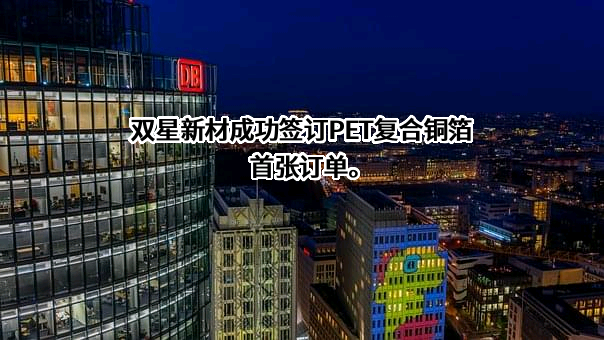 江苏双星彩塑新材料股份有限公司