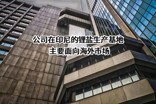盛新锂能集团股份有限公司