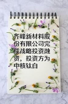 齐峰新材料股份有限公司