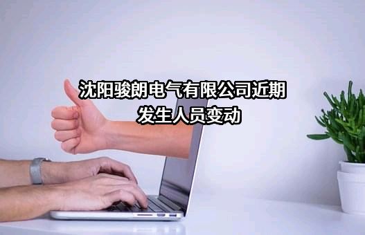 沈阳骏朗电气有限公司