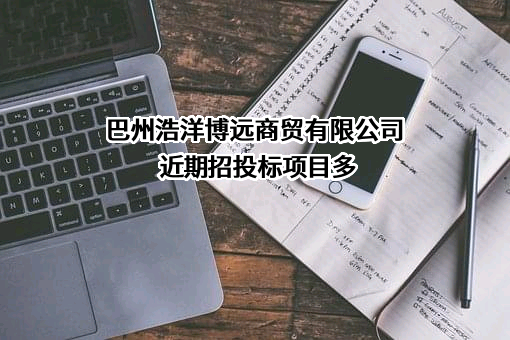 巴州浩洋博远商贸有限公司