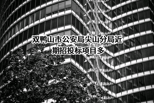 双鸭山市公安局尖山分局近期招投标项目多
