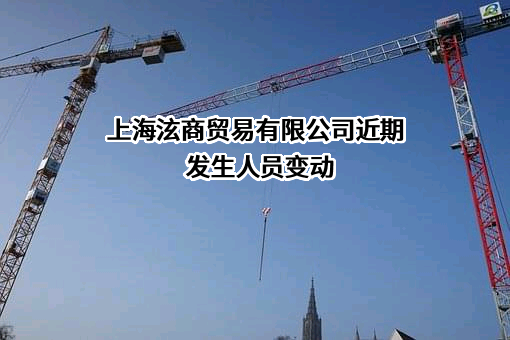 上海泫商贸易有限公司