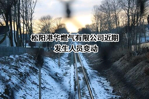 松阳港华燃气有限公司