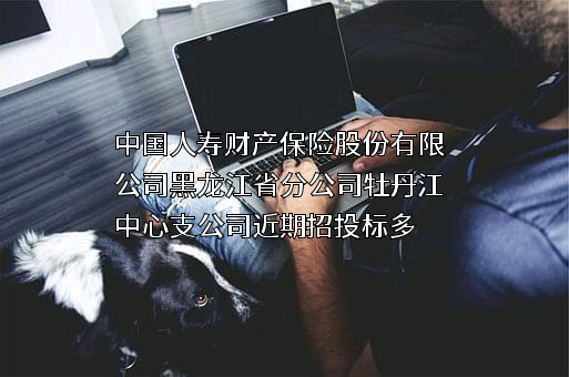 中国人寿财产保险股份有限公司黑龙江省分公司牡丹江中心支公司