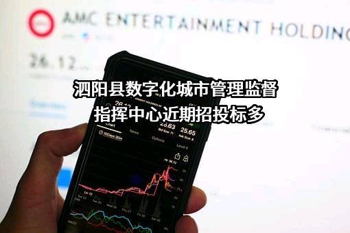 泗阳县数字化城市管理监督指挥中心