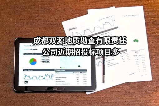 成都双源地质勘查有限责任公司