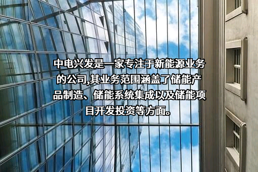 安徽中电兴发与鑫龙科技股份有限公司