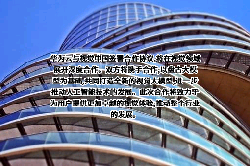 汉华易美视觉科技有限公司