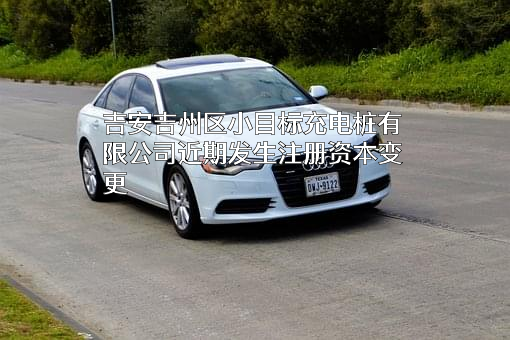 吉安吉州区小目标充电桩有限公司