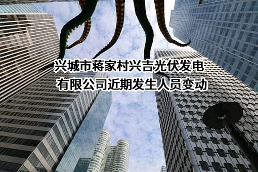 兴城市蒋家村兴吉光伏发电有限公司