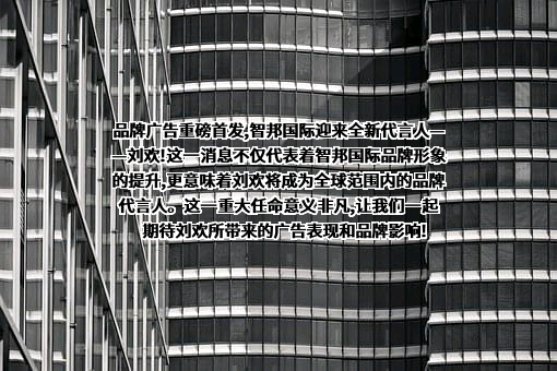 北京智邦国际软件技术有限公司