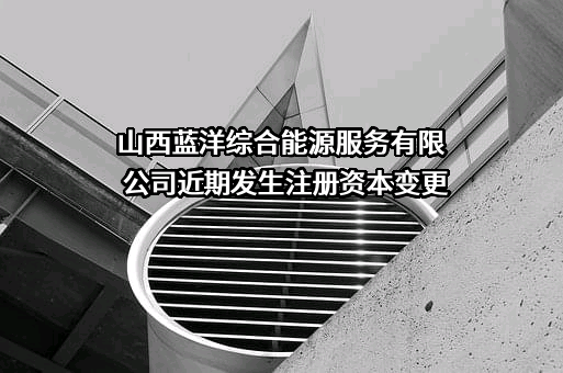 山西蓝洋综合能源服务有限公司