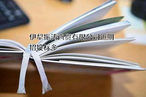 伊犁振涛商贸有限公司