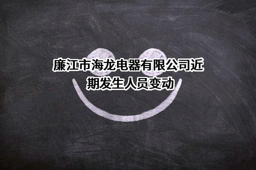 廉江市海龙电器有限公司
