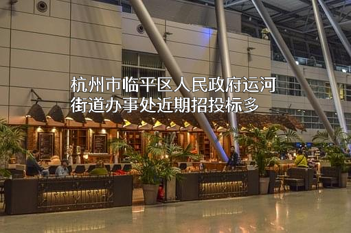 杭州市临平区人民政府运河街道办事处
