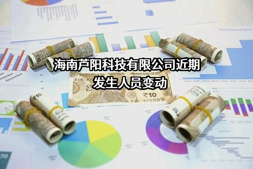 海南芦阳科技有限公司