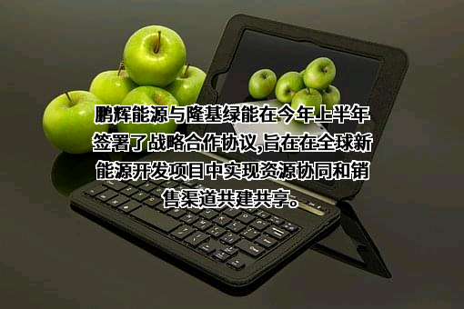 广州鹏辉能源科技股份有限公司