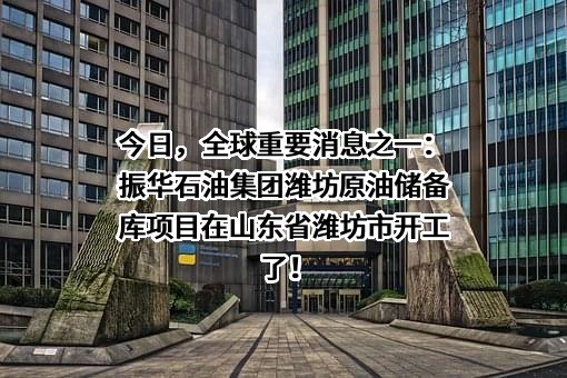 山东振华石油能源储备有限公司