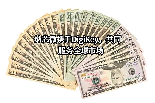 苏州纳芯微电子股份有限公司