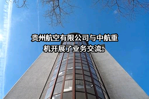 贵州航空有限公司