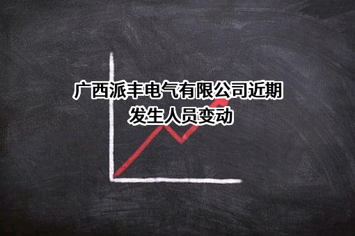 广西派丰电气有限公司