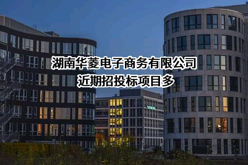 湖南华菱电子商务有限公司