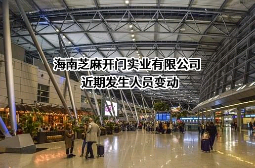 海南芝麻开门实业有限公司