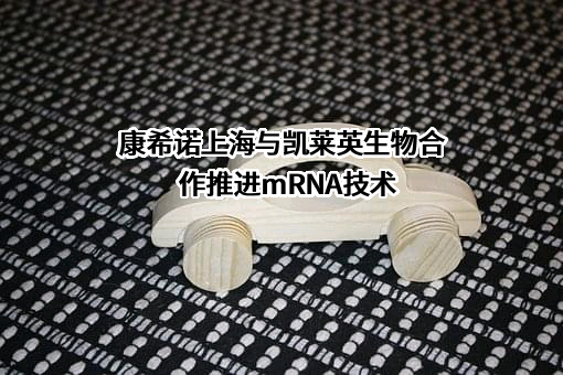 上海凯莱英生物技术有限公司