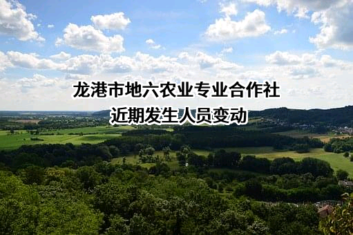 龙港市地六农业专业合作社