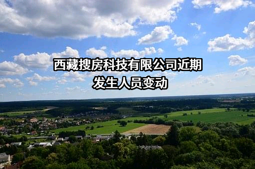 西藏搜房科技有限公司