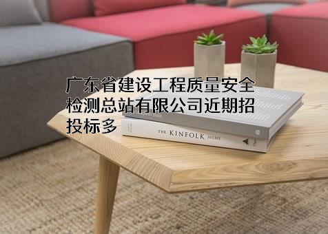 广东省建设工程质量安全检测总站有限公司