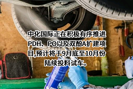 中化国际（控股）股份有限公司