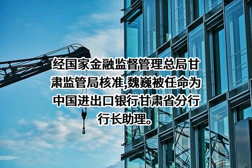 中国进出口银行