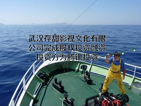 武汉存甜影视文化有限公司