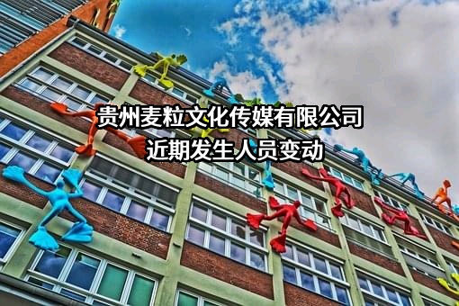 贵州麦粒文化传媒有限公司