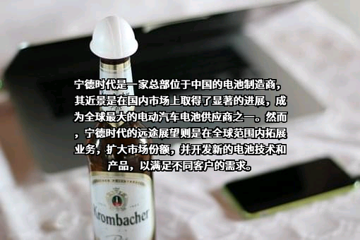 宁德时代新能源科技股份有限公司