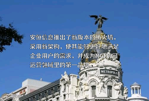 杭州安恒信息技术股份有限公司