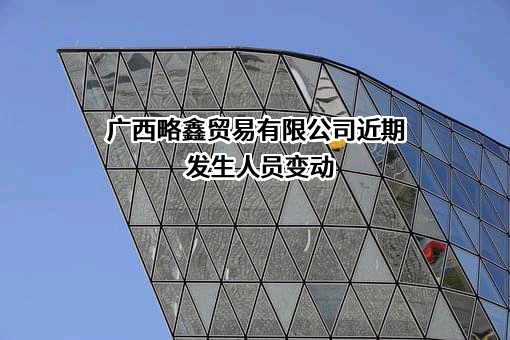 广西略鑫贸易有限公司