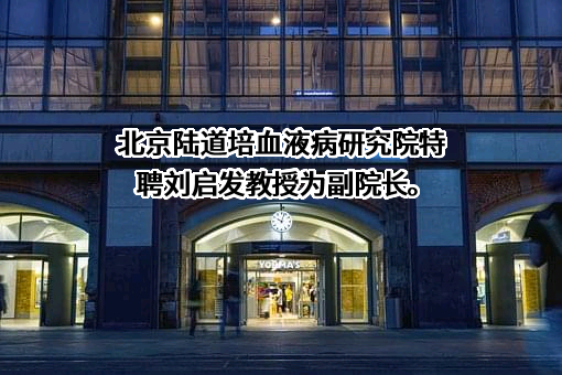 北京陆道培血液病研究院