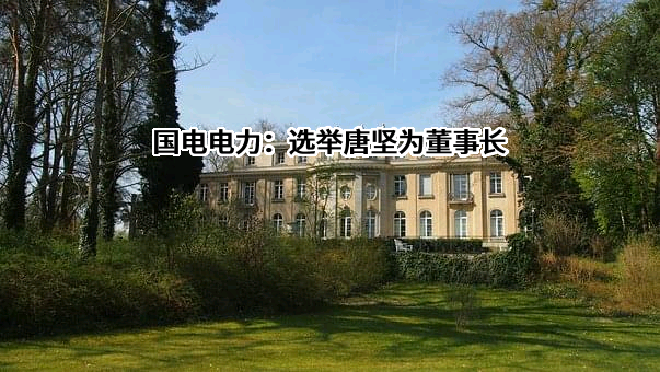 国电电力发展股份有限公司