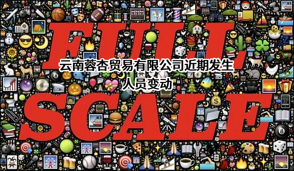 云南蓉杏贸易有限公司