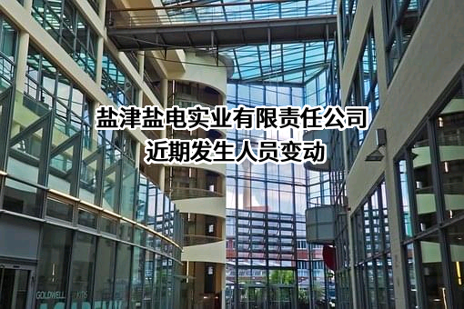 盐津盐电实业有限责任公司