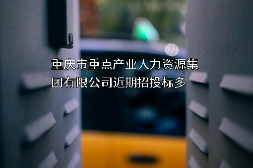 重庆市重点产业人力资源集团有限公司