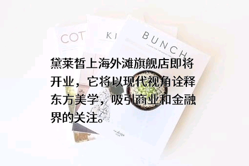 上海黛莱皙化妆品有限公司